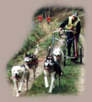Bauer Team til vognløb i Rold Skov, 1999